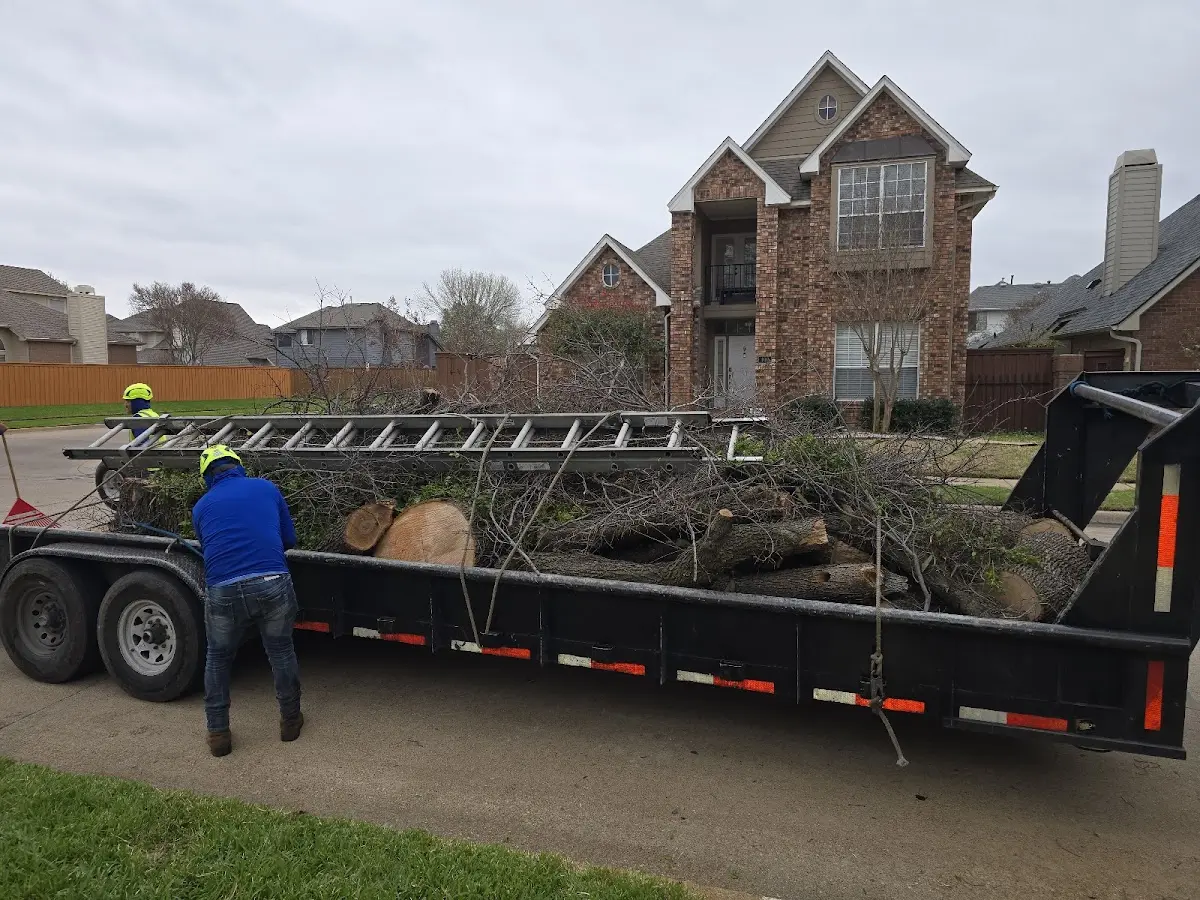 Expert Tree Removal with proper safety equipment in Fredonia